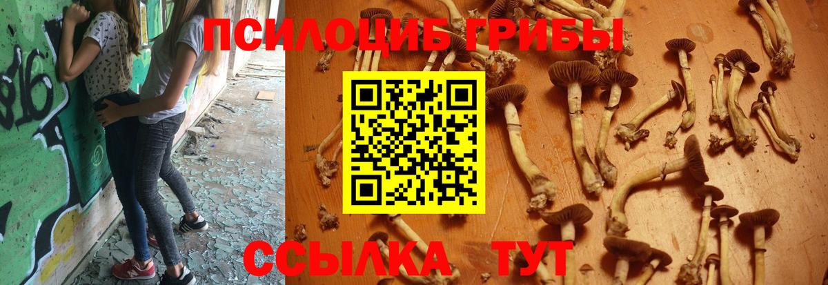 Псилоцибиновые грибы Magic Shrooms Мичуринск