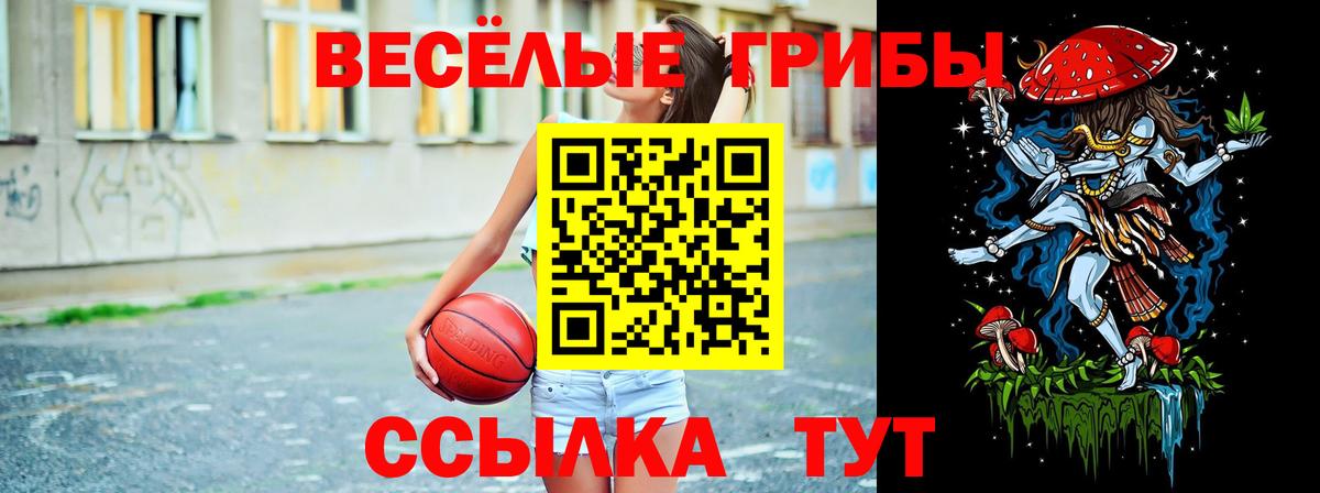 Псилоцибиновые грибы Magic Shrooms  Псилоцибиновые грибы Psilocybe  Вход с VPN  Мичуринск 